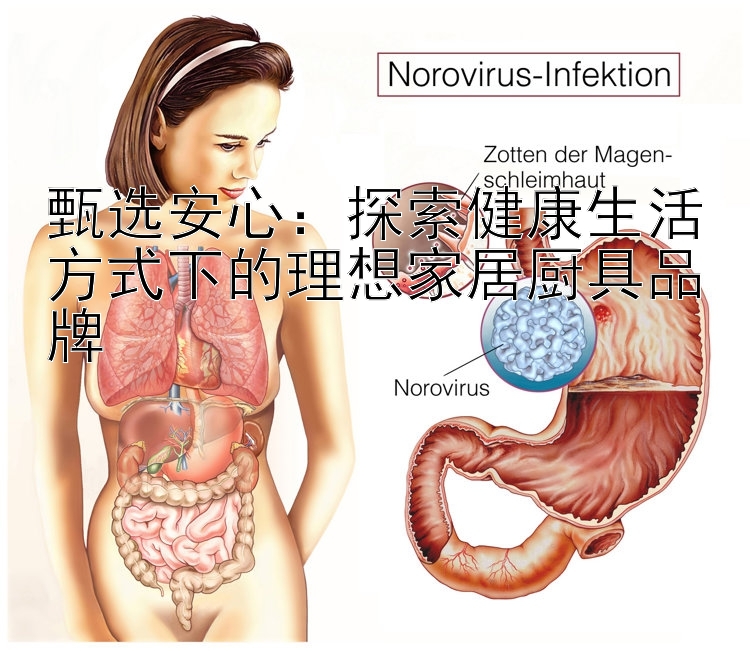 甄选安心：探索健康生活方式下的理想家居厨具品牌