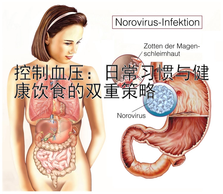 控制血压：日常习惯与健康饮食的双重策略